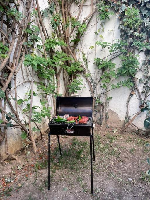 Etage De Villa Avec Jardin, Pres De L'Aireport Et Parking Prive 아리아나 외부 사진