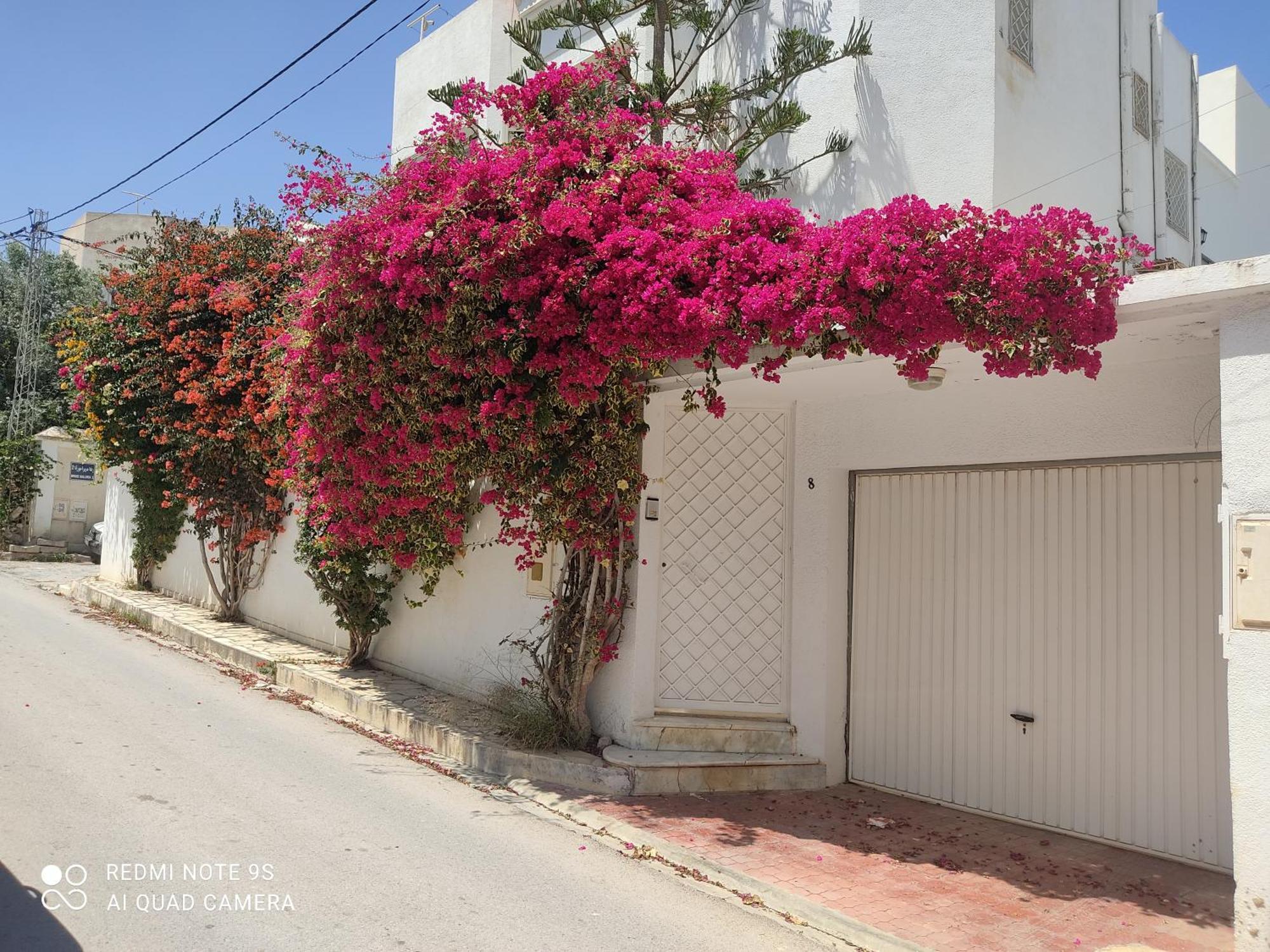 Etage De Villa Avec Jardin, Pres De L'Aireport Et Parking Prive 아리아나 외부 사진