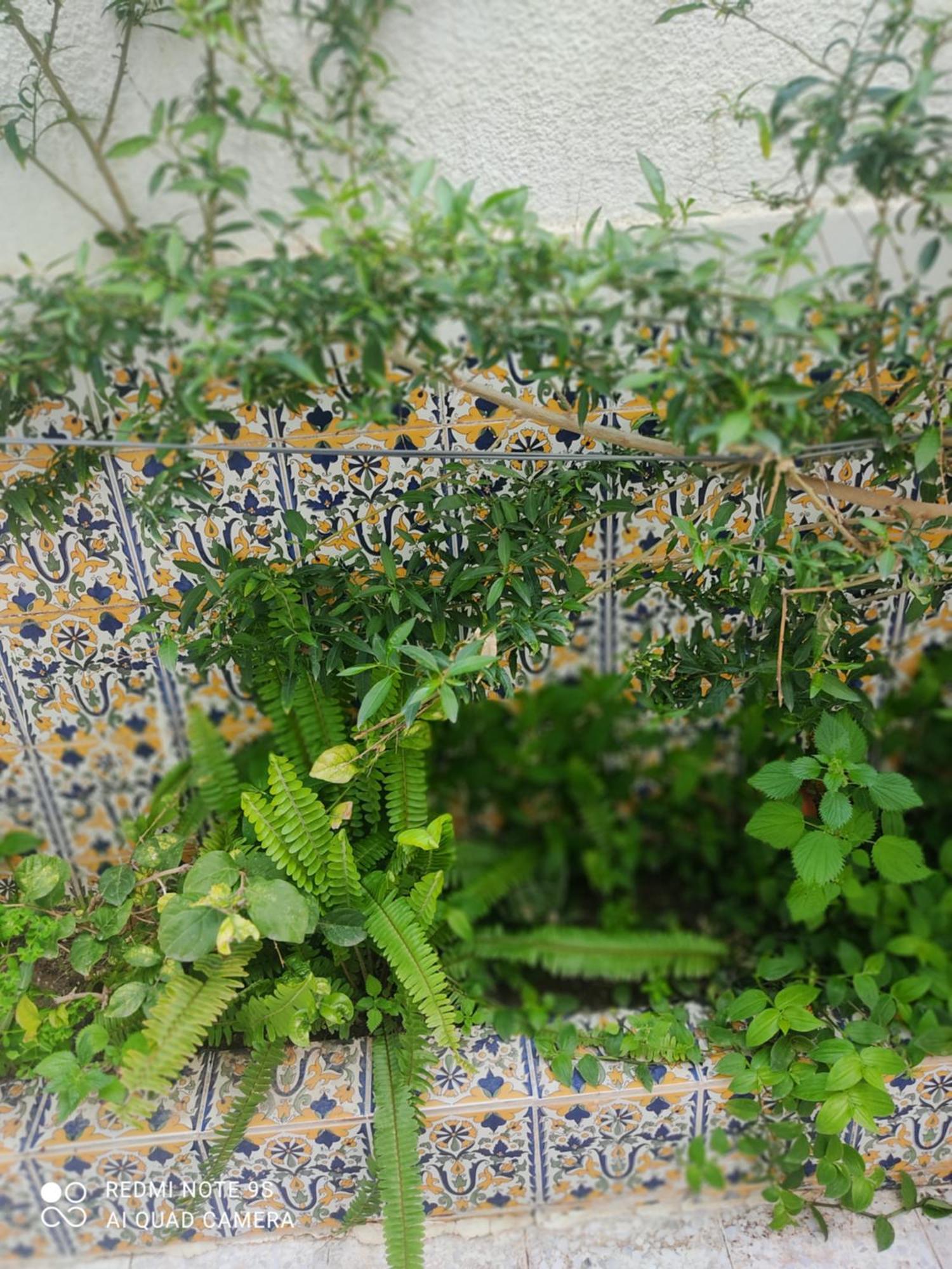 Etage De Villa Avec Jardin, Pres De L'Aireport Et Parking Prive 아리아나 외부 사진